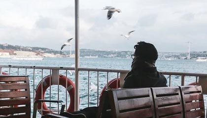 纵横球场：全球篮球精英争夺夺冠宝座，《纵横篮坛》