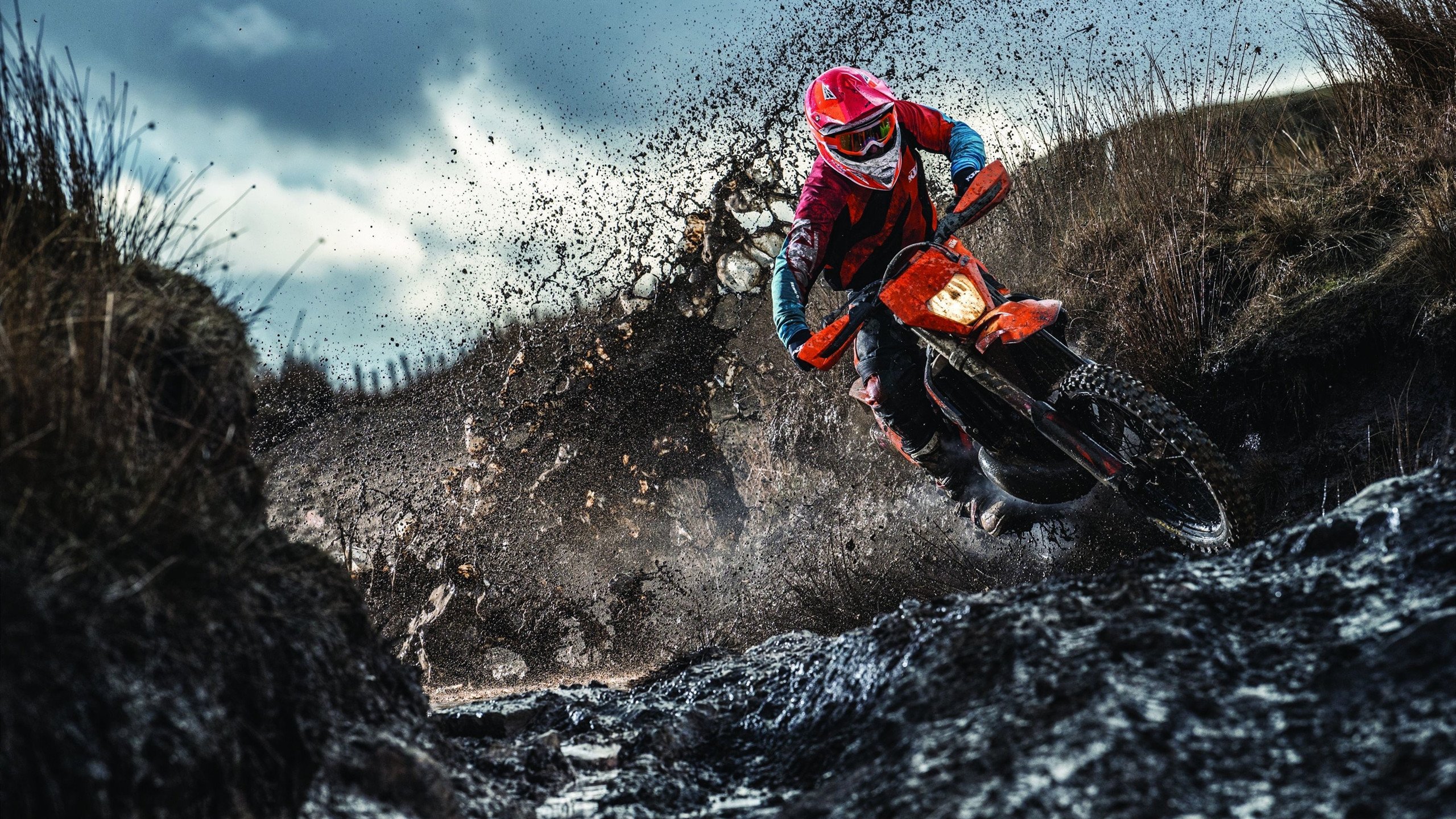 欧莱利马助攻得分，帮助球队走出困境，欧利莱名门